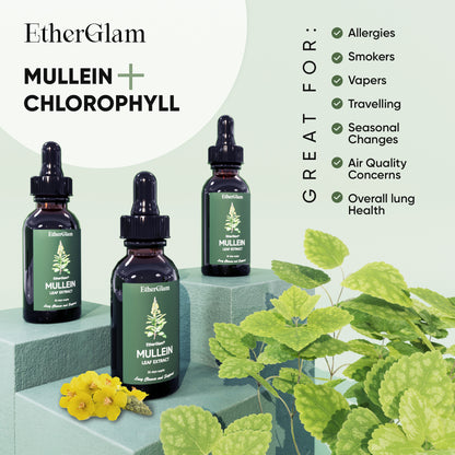 EtherGlam® - Mullein Extract